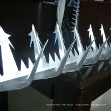 Ponto de Spike / Razor Spike / Razor da parede galvanizado quente-mergulhado